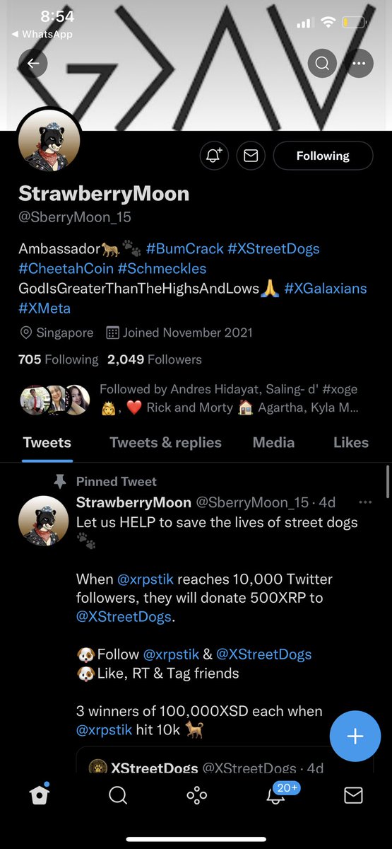 @jeanashvandreis tweet media