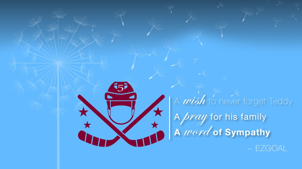 EZGOAL mourns the loss of Teddy Balkind, a member of our hockey family that was taken too soon. Our deep condolences go out to Teddy's family, friends, teammates, and the many lives that he impacted in the community and beyond. We hope for healing and strength. #SticksOutForTeddy