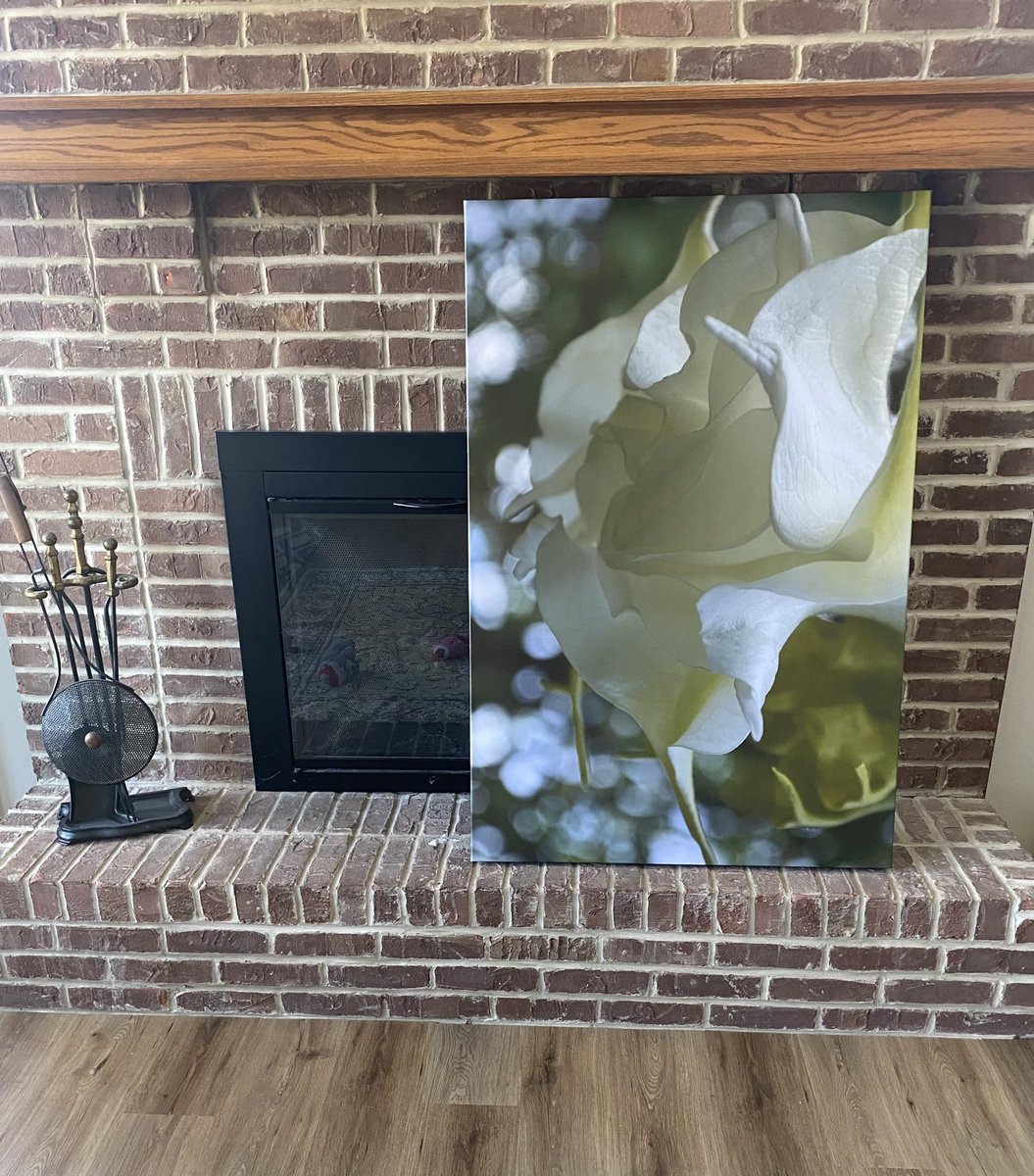 DemareeDVM's tweet photo. Excited about how well this canvas print arrived! 32x48”!  #NaturePhotography #wallart https://t.co/Vs7ONNOBIF