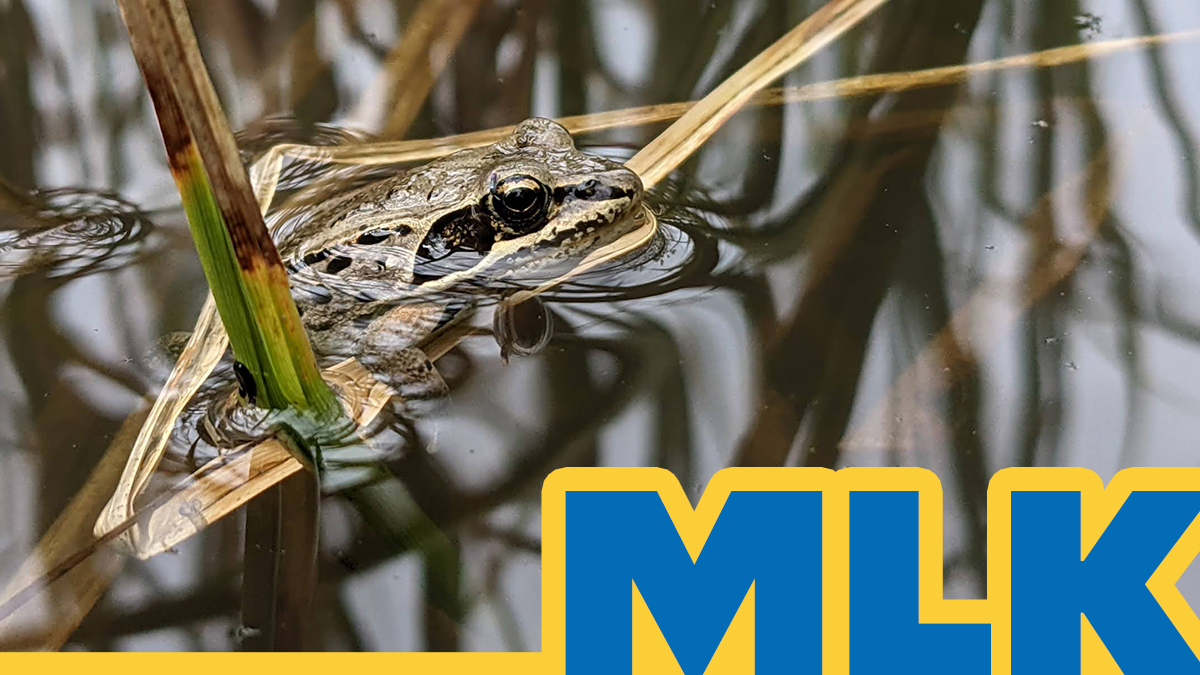 Yale Peabody Museum tweet media