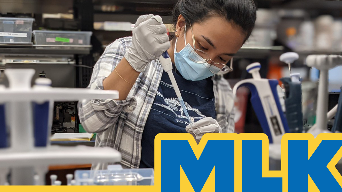 Yale Peabody Museum tweet media