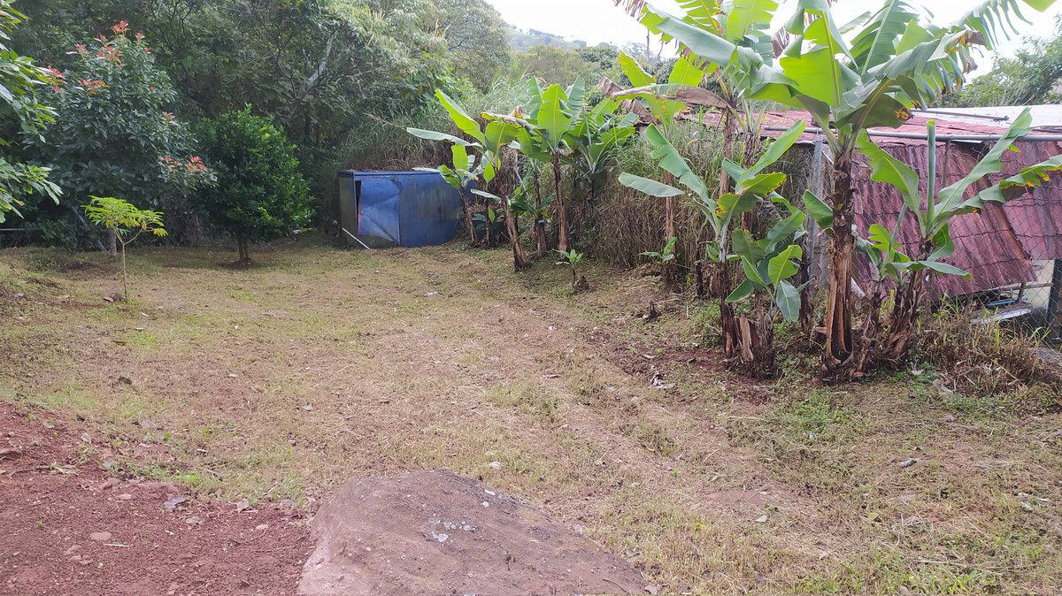 Limpieza de áreas.Gracias al personal de Vigilancia de Víctor
@MPPEDUCACION <a href="/charlychaves/">Charly Rojas Chaves</a> @ClifpC  <a href="/01Ptmstachira/">PTMSTACHIRA</a> <a href="/deportezet/">Coord. Deporte ZET</a> @ZonaEducTachira <a href="/Circuitoseduzet/">Coord. CircuitosEducativosZET</a> <a href="/BolivarianasZET/">Erika Varela Sayago Escuelas Bolivarianas</a> <a href="/Crazet2011/">Crazet2011</a> <a href="/cracardenas/">CRACARDENAS</a>   @SPETachira <a href="/culturatchira1/">cultura_táchira</a> <a href="/_LaAvanzadora/">Yelitze Santaella</a> <a href="/Crazet2011/">Crazet2011</a> <a href="/DRCEE_Tachira/">CRA - DRCEE Táchira ZE</a>