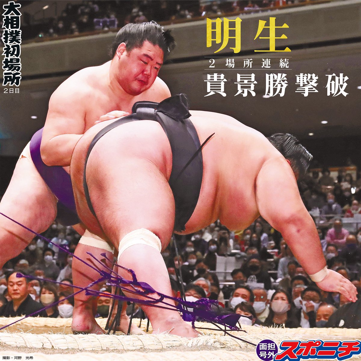 18%OFF】 明生 反物 相撲 ienomat.com.br