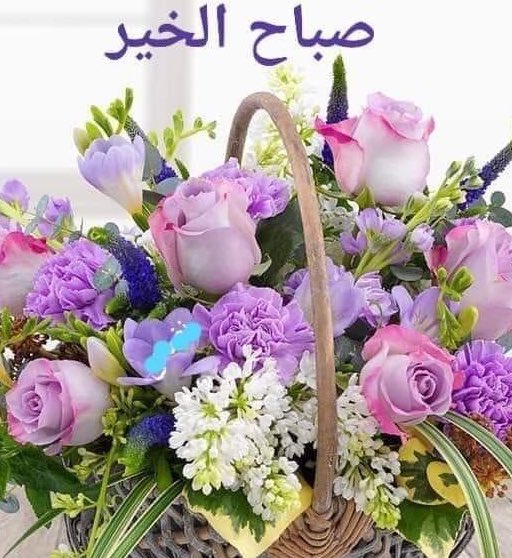 عطر 💔الحنين ( اميره الذووق )💛استودعكم الله tweet media