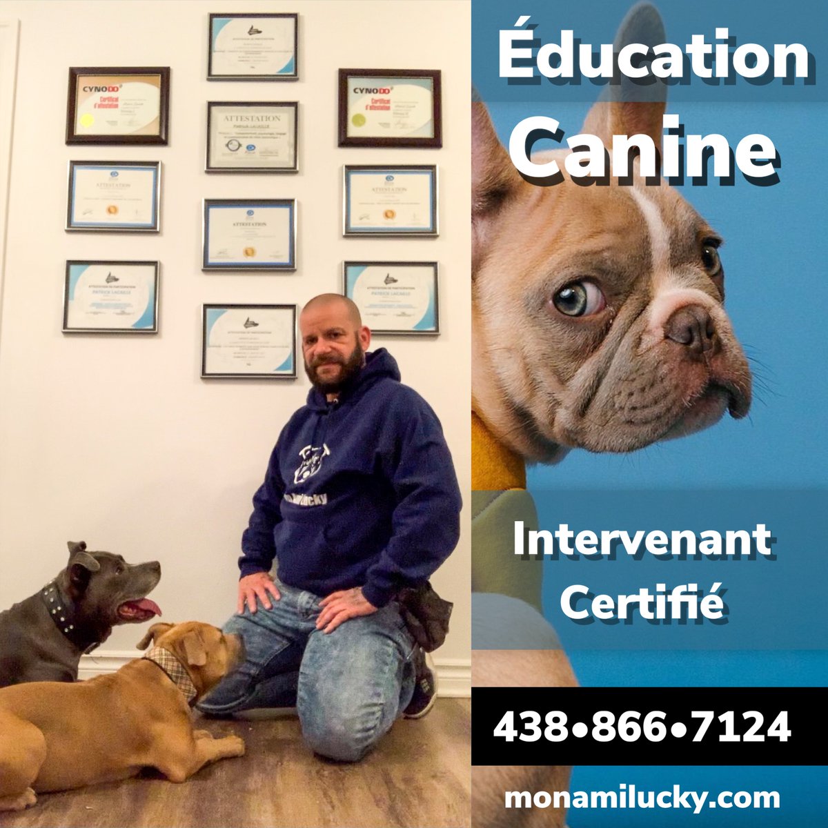 Mon Ami Lucky (MonAmiLucky) Twitter