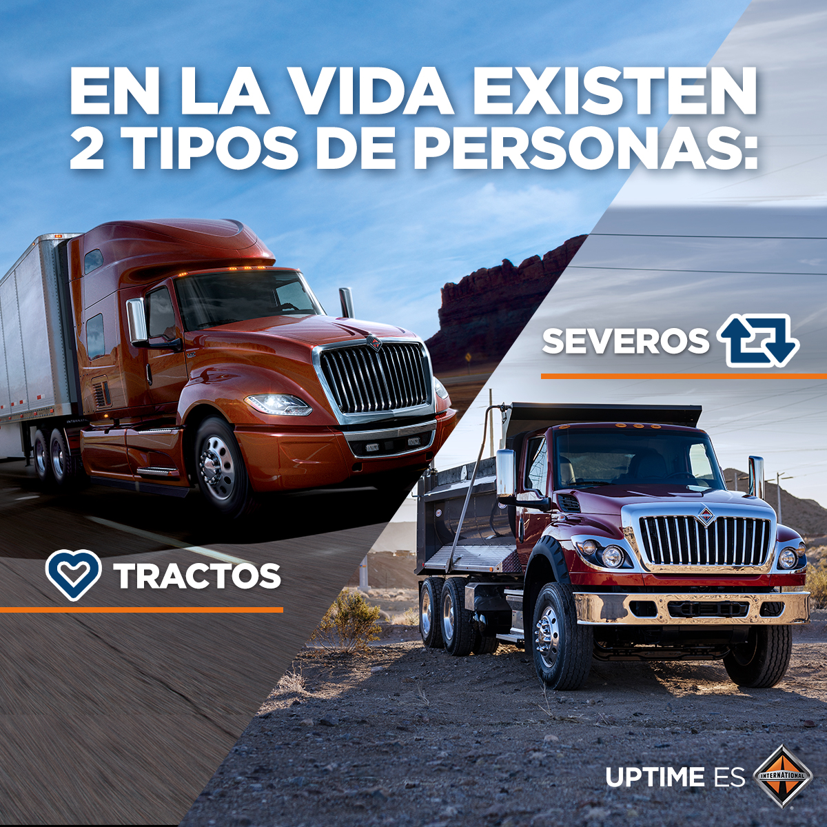 InternationalMX's tweet photo. ¿Cuál prefieres para hacer crecer tu negocio?​
​
Descubre más 👉 https://t.co/v6W8ty1ynT​
​
#InternationalMx #UpTimeEs https://t.co/QPP6SCMihj