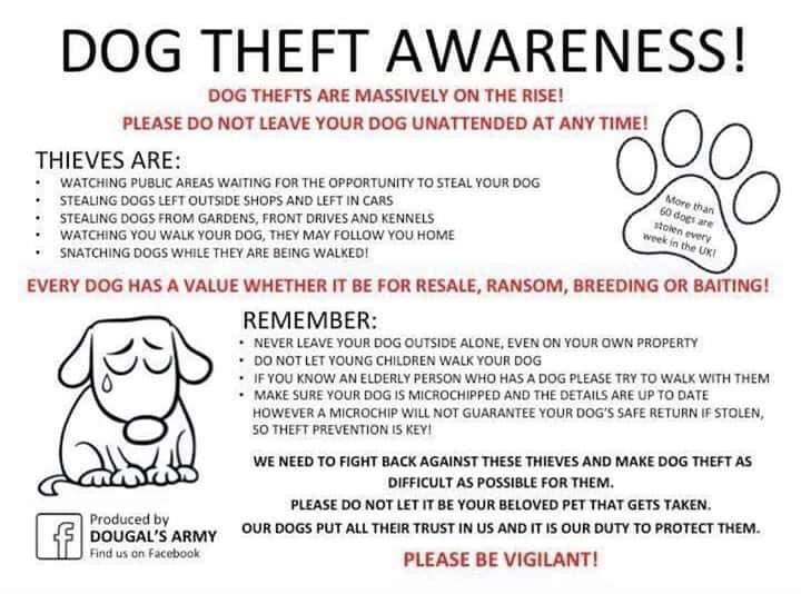 #DogTheftAwareness #dogsoftwitter