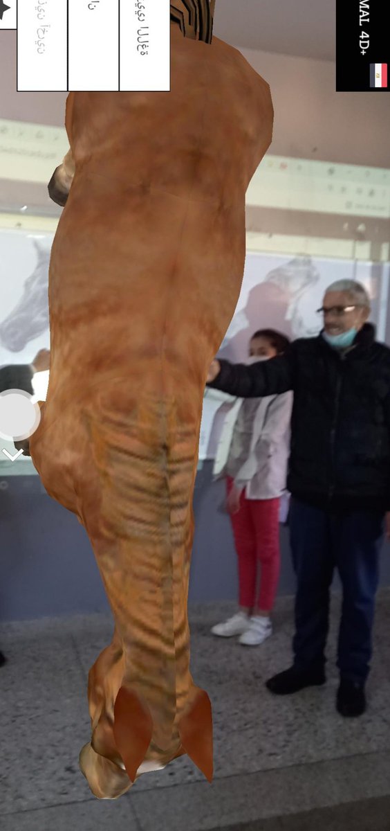 NaimaBacime's tweet image. في حصة تعريفية للواقع المعزز اسعدني حضور ومشاركة مديري لحظات تركت انطباعا لدى تلامذتي وهم يكتشفون عوالم 
الواقع المعزز لأول مرة
@ilhamlaaziz @MarocEducation @taalimtice @EducaFESMEKNES @CoSpaces_Edu @AyoubiHasnae @Flipgrid @Microsoft_EDUFR @Azure