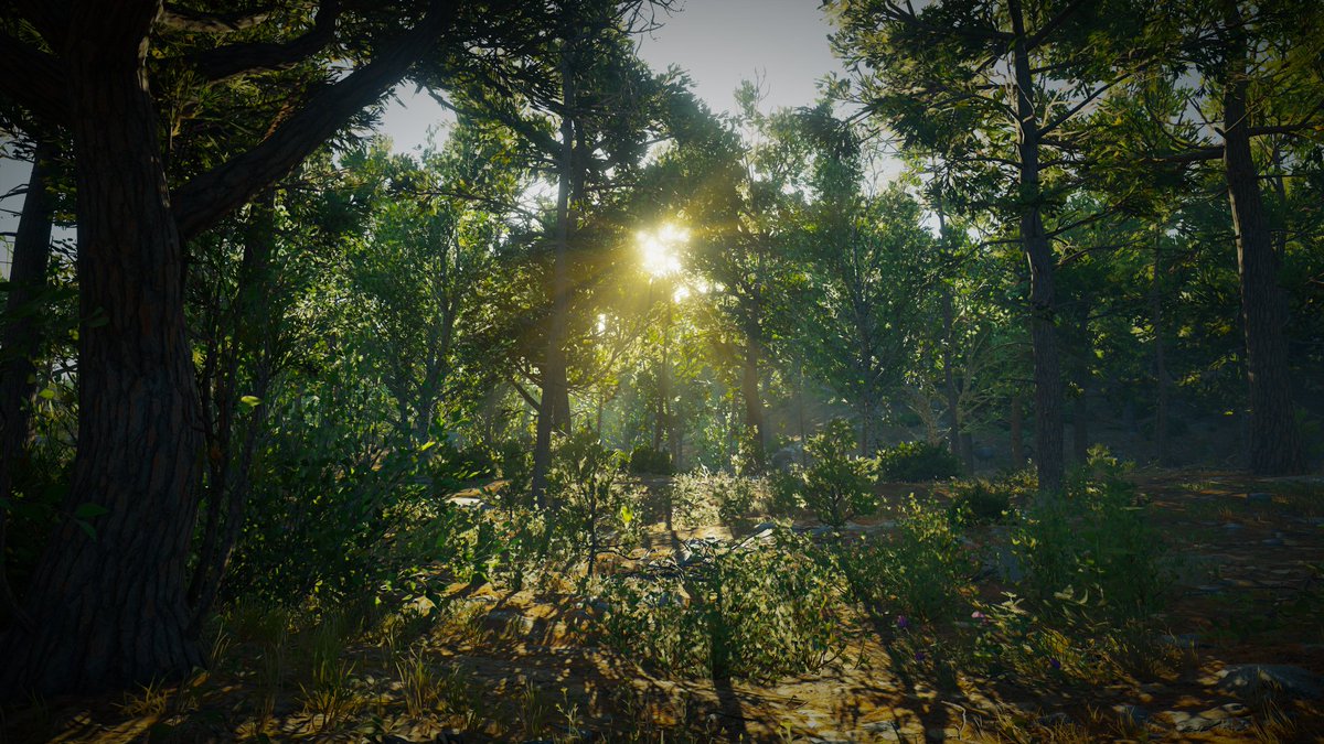 Virtual Landscapes tweet media