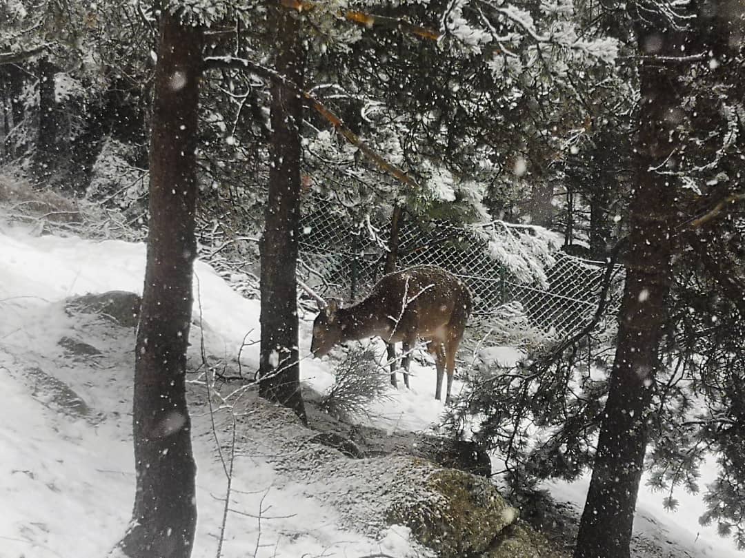 Vincent Thomas tweet media