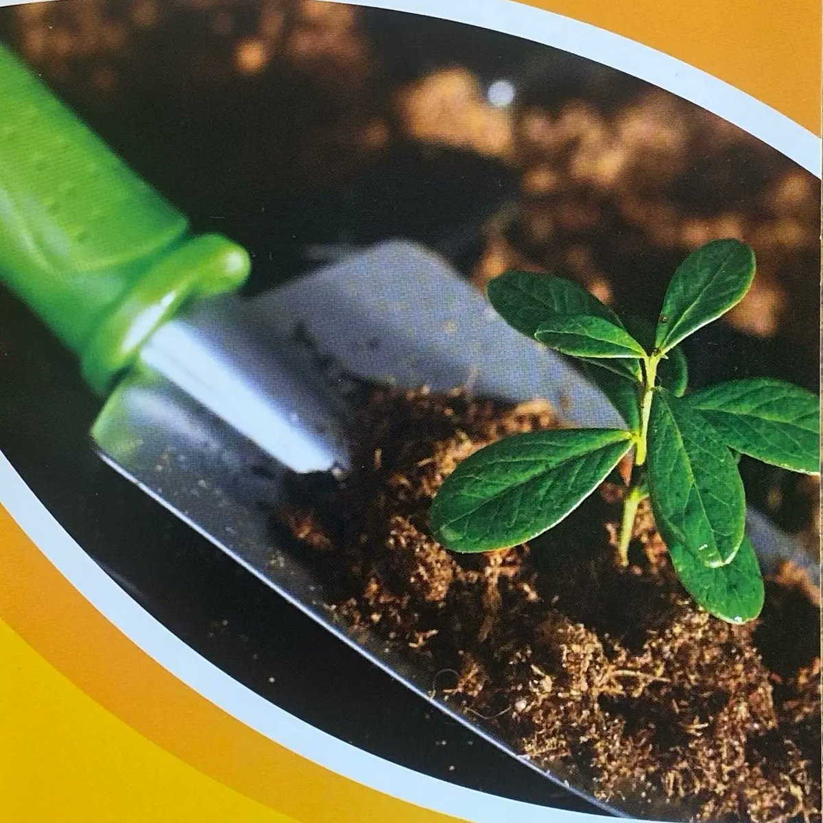 RedlandRoyals's tweet image. Apply to be part of our Academy of Organic Agriculture today! Deadline is January 15th!!!

 @miamischools @miamisup @mdcpssouth @miamimagnets #miamisup #miamischools #mdcpssouth