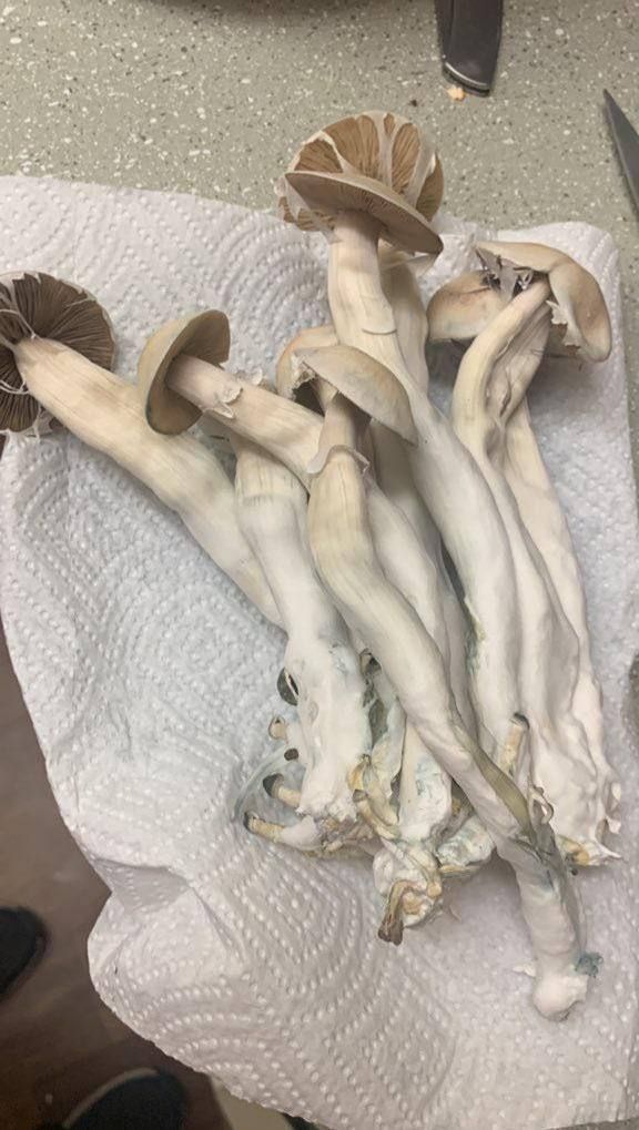 The power of nature 🌏