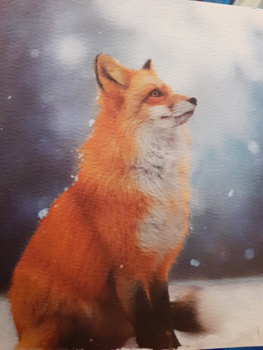 cliveswinsco's tweet photo. @PDHuntSabs @milvertonbrakes @Sueblueocean Excellent idea - keep up the superb work everyone -
#SupportOurSabs @HuntSabs
Together we can finish off these sickening, sadistic bloodsports once & for all @itvnews https://t.co/P9u2uqJx1t