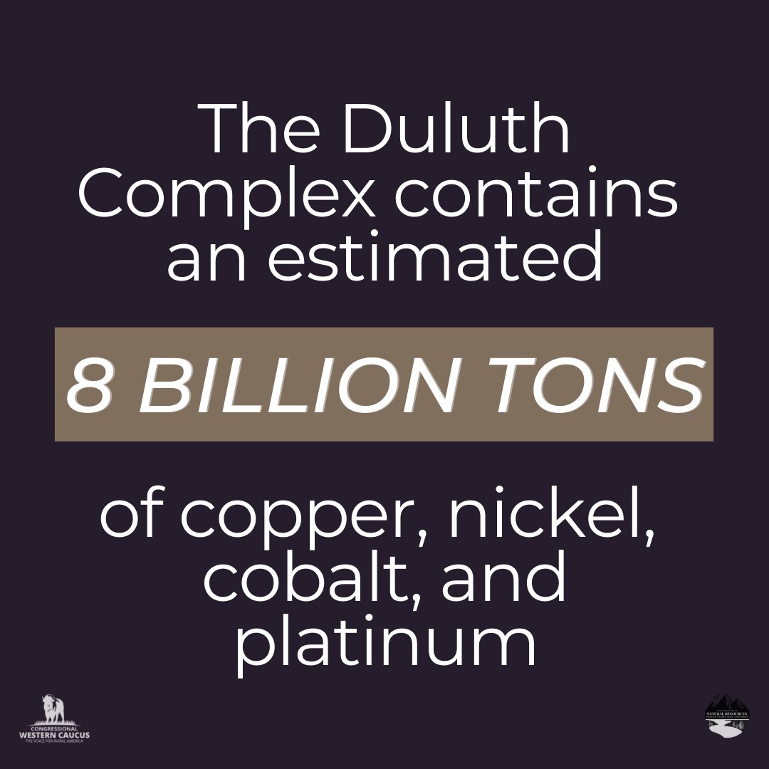 NatResources's tweet photo. Join us this Thursday at 10 a.m. EST to learn more about the importance of #MNMining and the Duluth Complex➡️https://t.co/C9EwD8H7ql https://t.co/zJEYbAjlkb