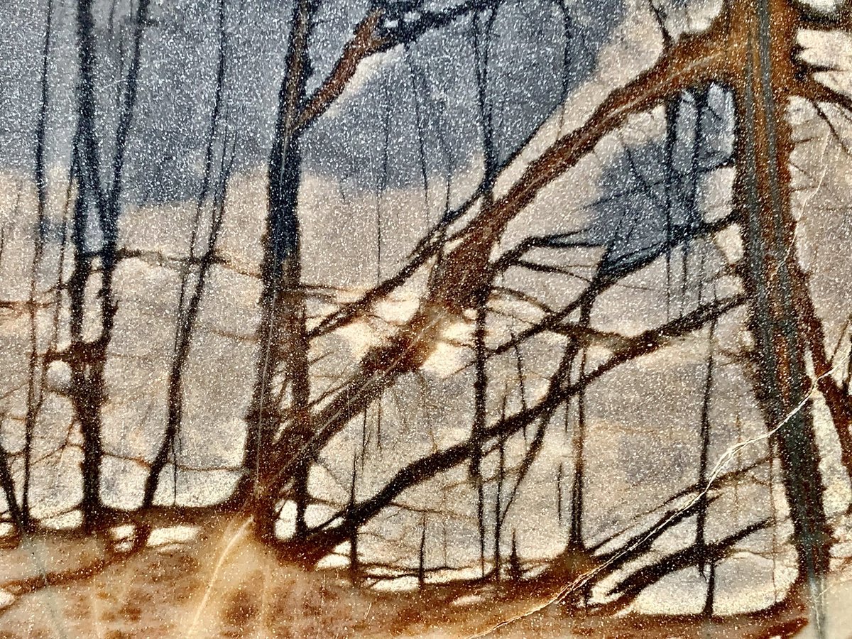 dr_dappleton's tweet photo. So for #MineralMonday check out this amazing piece of polished #jasper from Utah Frankly, it looks like a piece of #art #Watercolor #naturesart #mineral #minerals #mineralphoto #minerology #artinnature #nottrees #looksliketrees #nature #NaturePhotography https://t.co/mAm32XhFnQ