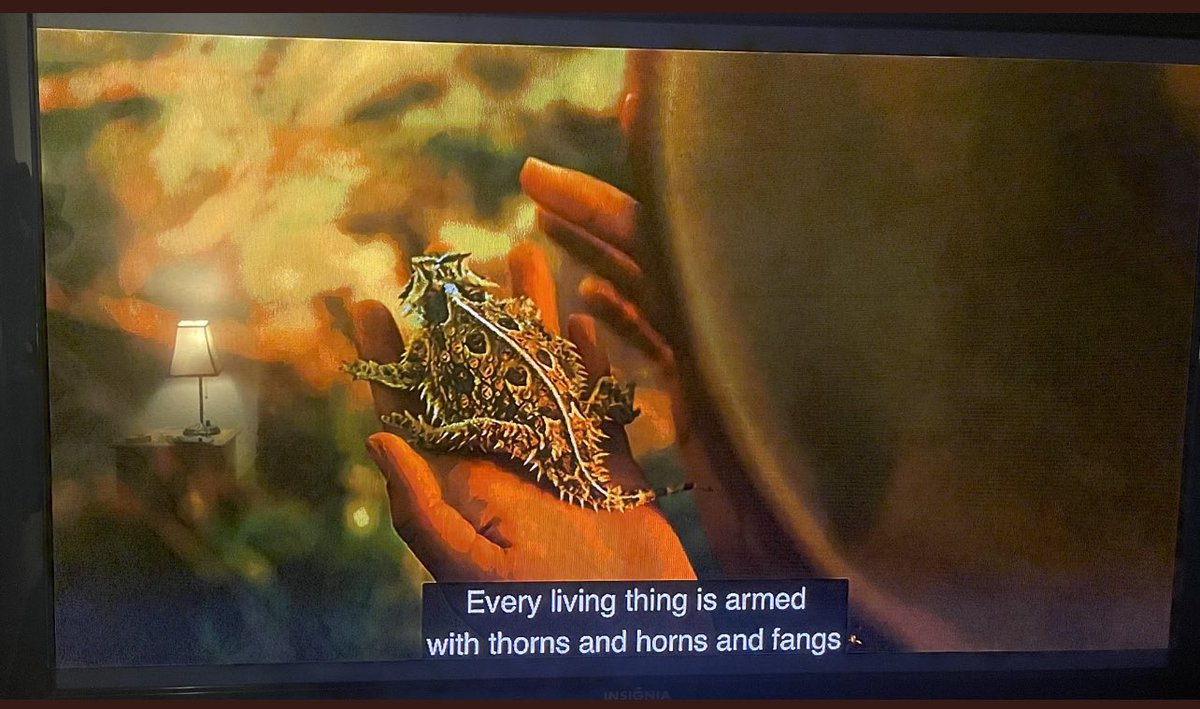 BuffFrog tweet media