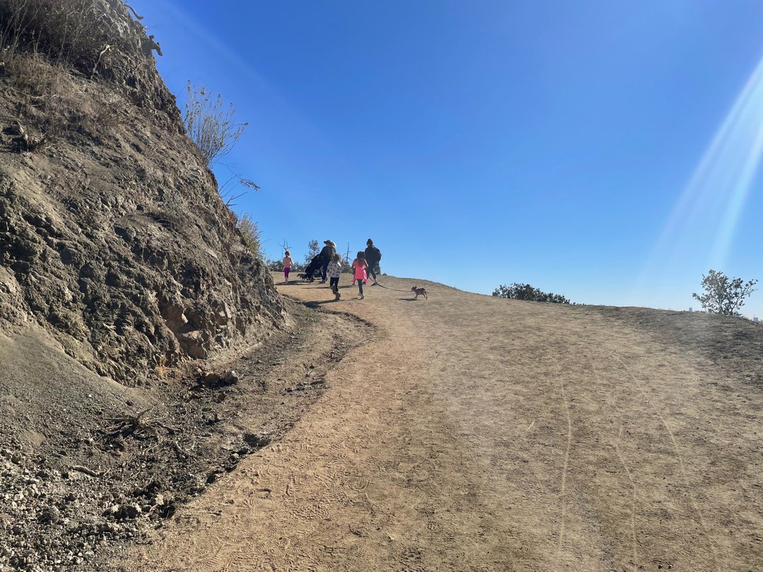 1HolisticLife's tweet photo. This is my happy place. 🙂

Hiking is kinda’ like life. There are steep hills where the incline seems so intense that you aren’t certain you’ll make it to the top let alone be able to take even one more step. 

But make it you will and when you do, you’ll be able to loo https://t.co/SZgQFjYFf5