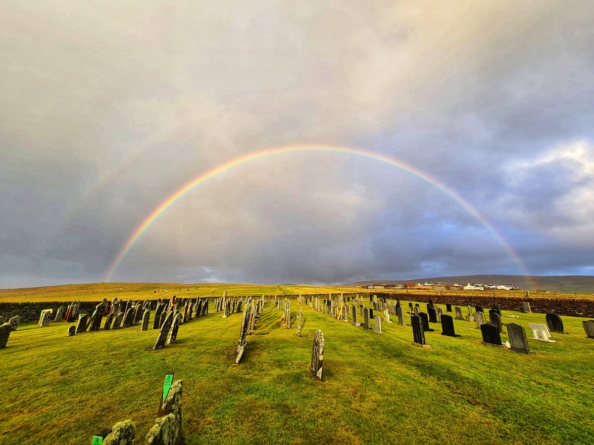 Chloe Kerr tweet media