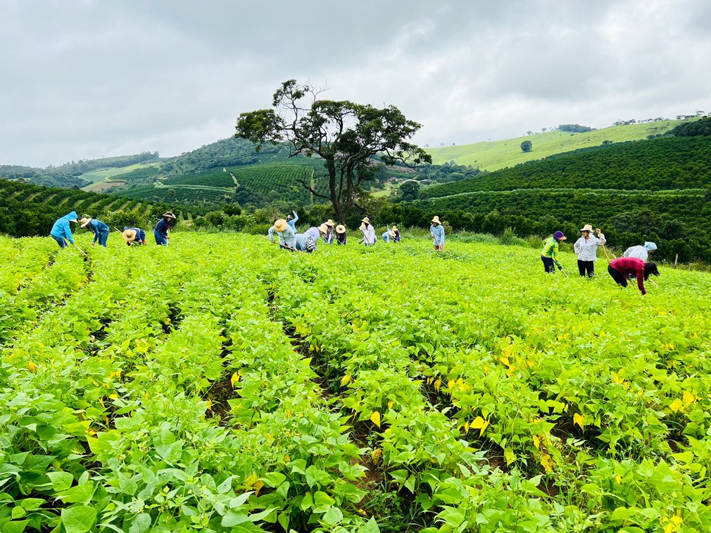 DIA DE CAPINA NA ROÇA.