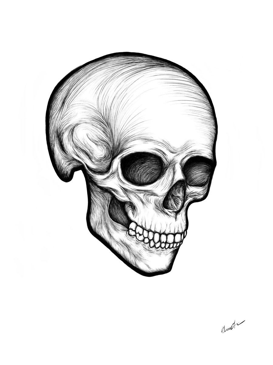 grace_fenn's tweet photo. finished my first piece of digital art… does this mean i own an NFT or whatever? https://t.co/AxWgJa7Uwi