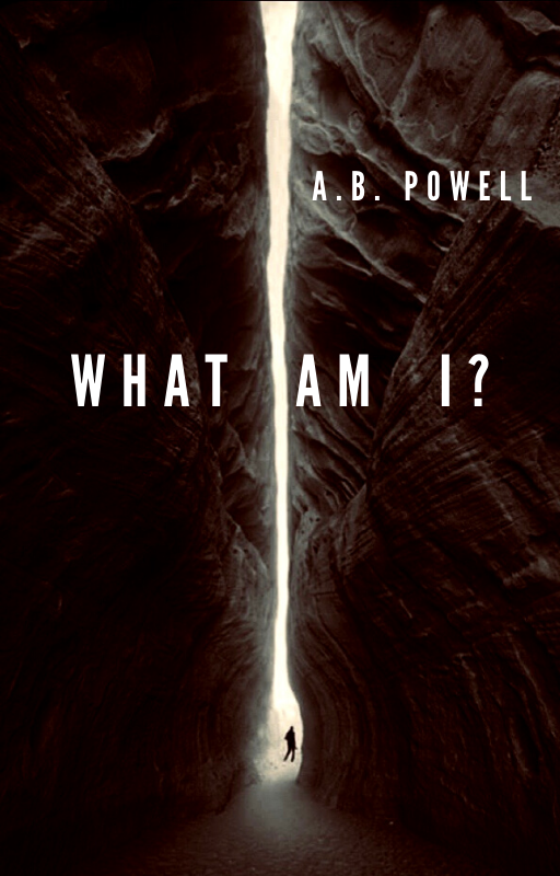 ABPowell4's tweet photo. If anyone's in the mood for a one-part short story, or wants to solve a riddle, check out 'What am I?' on #Wattpad #YAthriller #YAfantasy

https://t.co/vWwCNvGNlW 
#YA  #YAmystery #supernatural https://t.co/2eWK6nJTmI