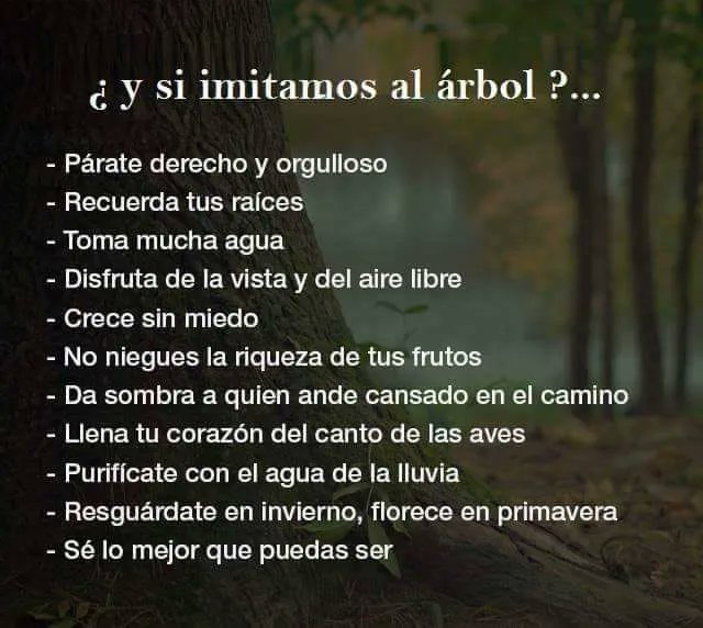 EcoInventos's tweet photo. ¿Y si imitamos al árbol? 🌳 https://t.co/4TpvhUrgTY