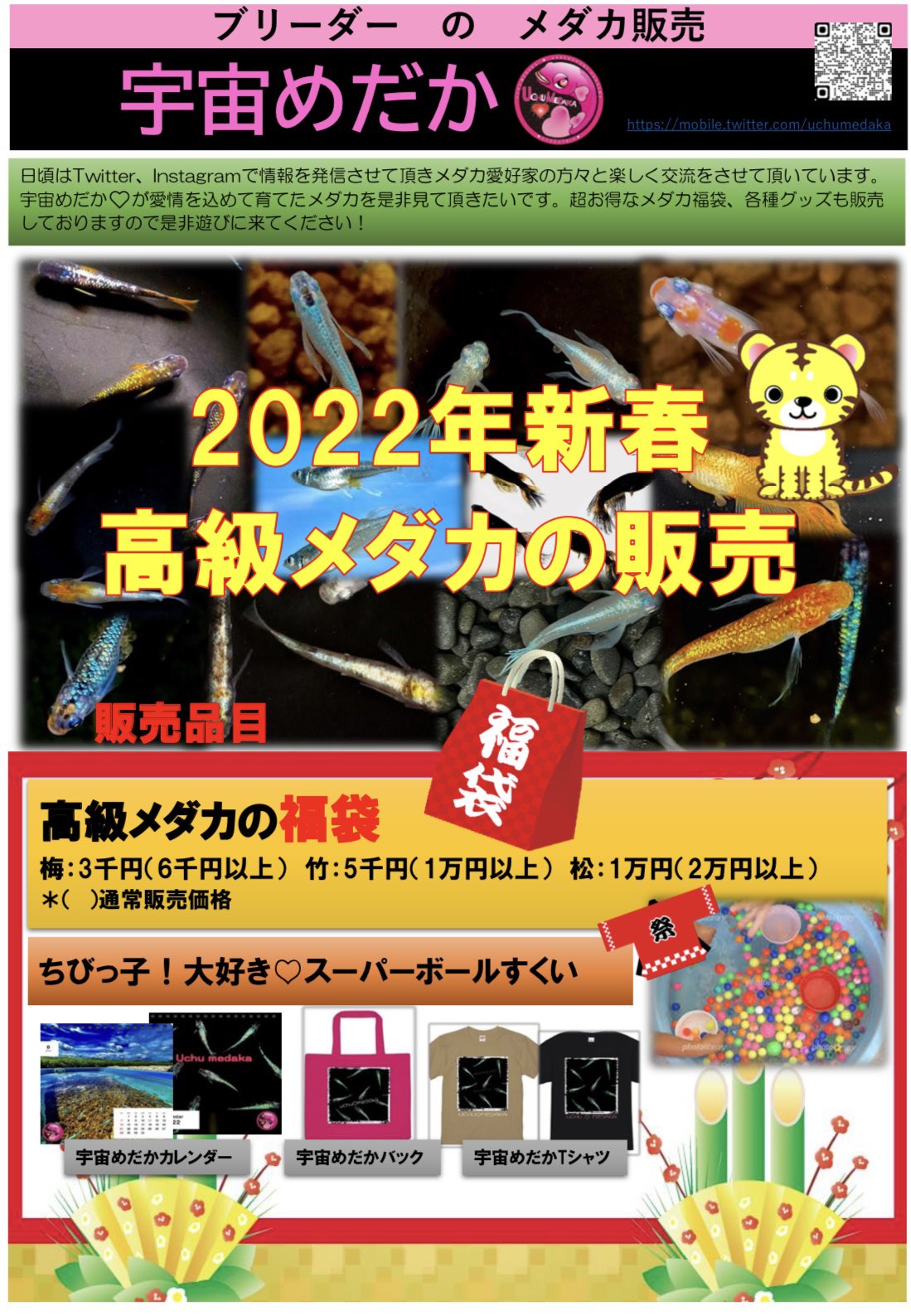 爺のめだか Masa Twitter