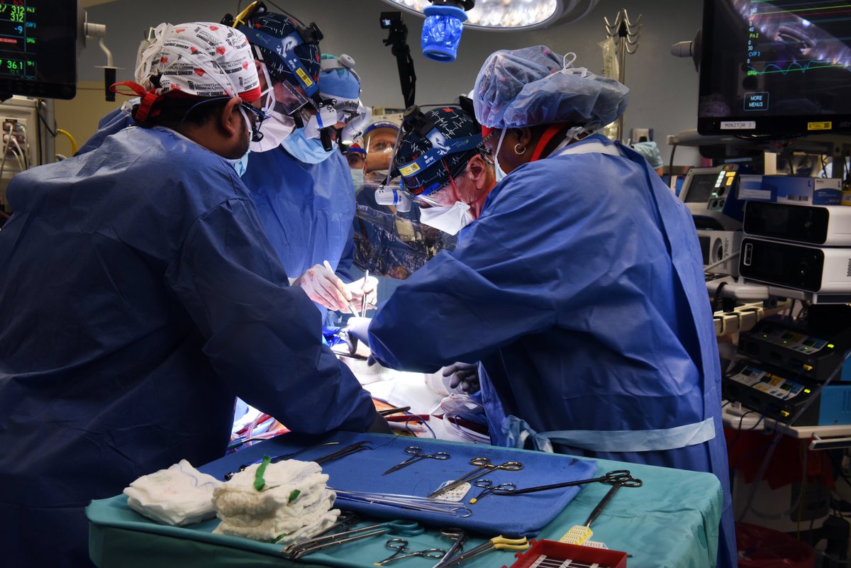 UMMC performs first-of-its-kind surgery successfully transplanting a genetically-modified pig heart to terminal heart disease patient. Learn more: umms.org/ummc/news/2022…
