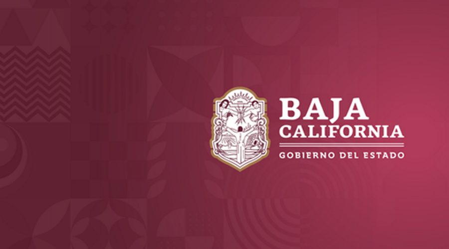 aeinfomx's tweet photo. #Tecnología, #TI: 
Baja California: Gobierno estatal creará Agencia Digital de Innovación Pública,; Industria de TI muestra preocupación
https://t.co/hy3Rdu3bs5 https://t.co/RfIh4KwsjN