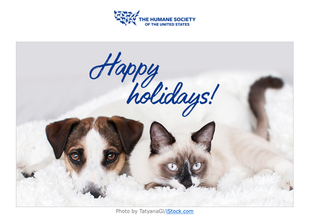 mplusmcreative's tweet photo. Thank you to @HumaneSociety for all you do!!! M+M #animalrescue #AnimalRights #AnimalWelfare https://t.co/9VGgrGR7zW