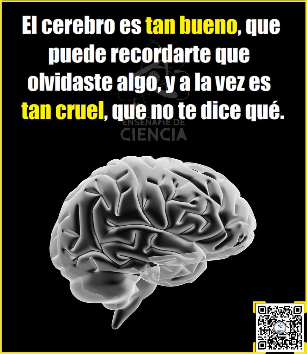 Cosas del sistema nervioso central... 👀