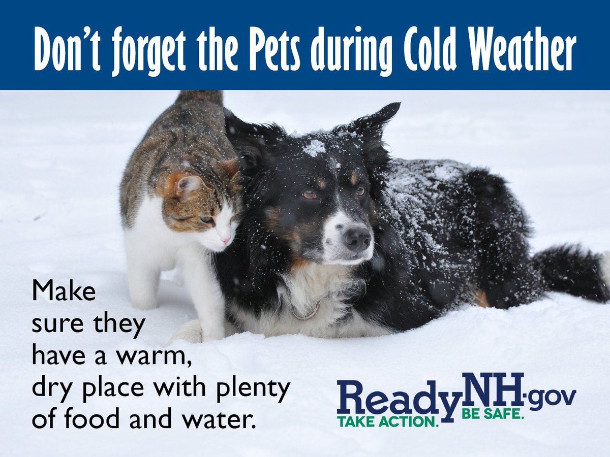 NH_HSEM's tweet image. [10:07 AM] Emmert, Judith
Dangerously cold wind chills are expected overnight into tomorrow.  Remember to keep your pets safe from the cold - make sure they have a warm, dry place with plenty of food and water! #ReadyNH #NHwx #BeSafe #BePrepared