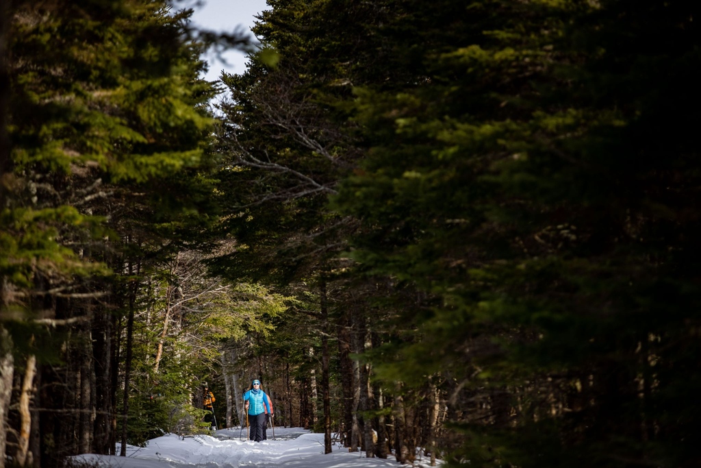 "There's no such thing as bad weather, only bad clothing" - A saying that rings true in Gros Morne! It was an active weekend in the park with groups out enjoying the marked ski and snowshoe trails, and some exploring the backcountry!  

#VisitGrosMorne #ExploreNL #ExploreCanada