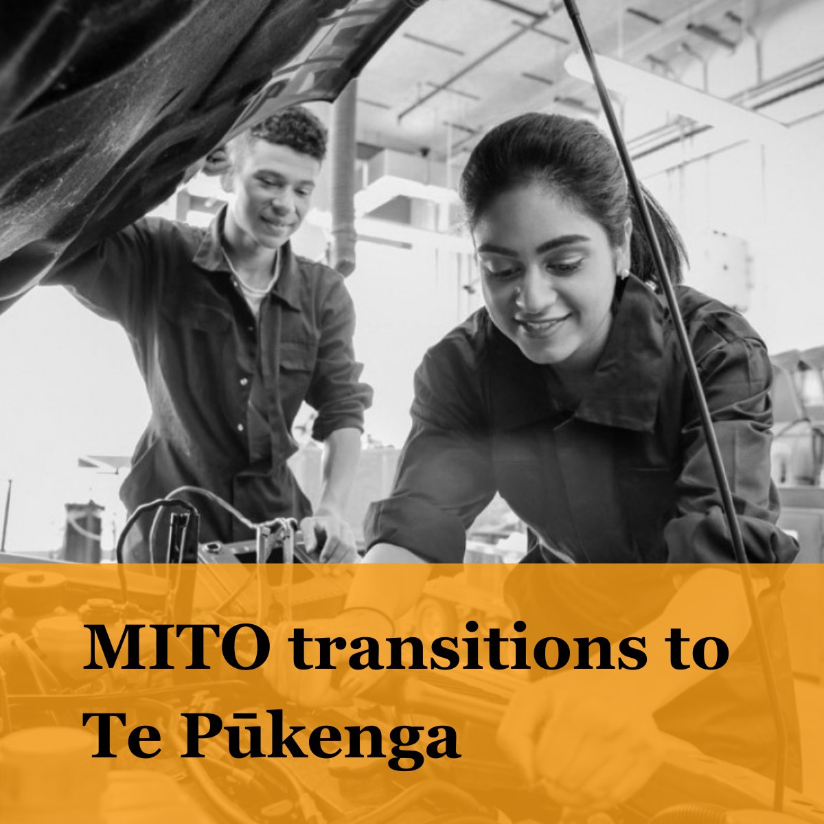 Congratulations to MITO New Zealand which has transitioned almost all of its arranging training functions, learners and employees to Te Pūkenga subsidiary Work Based Learning (WBL).