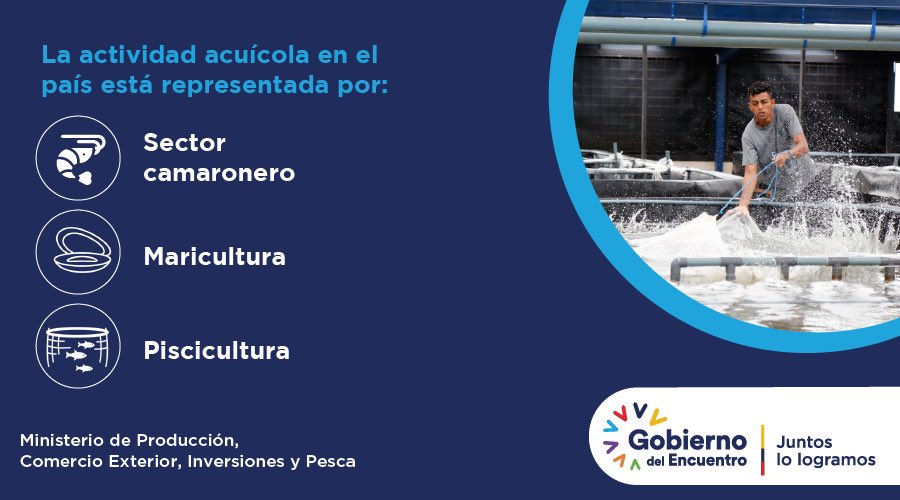 🔹Estamos comprometidos con el desarrollo de un sector acuícola más sostenible, innovador y eficiente🦐🇪🇨.

Conoce más sobre el trabajo que realiza nuestra Subsecretaría de Acuacultura aquí ⤵️
#EcuadorMásCompetitivo
#JuntosCumplimos