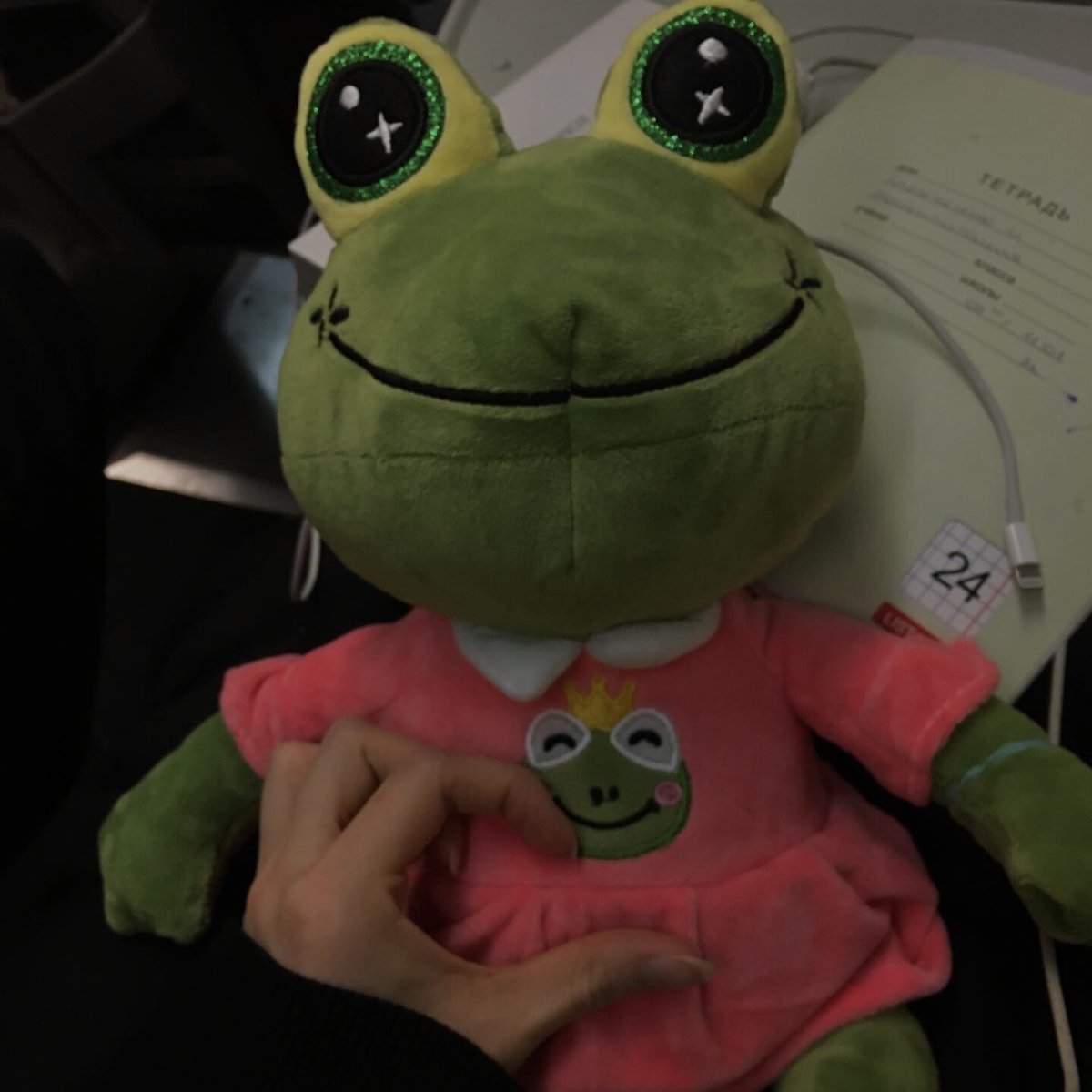 гадость 🐸 tweet media