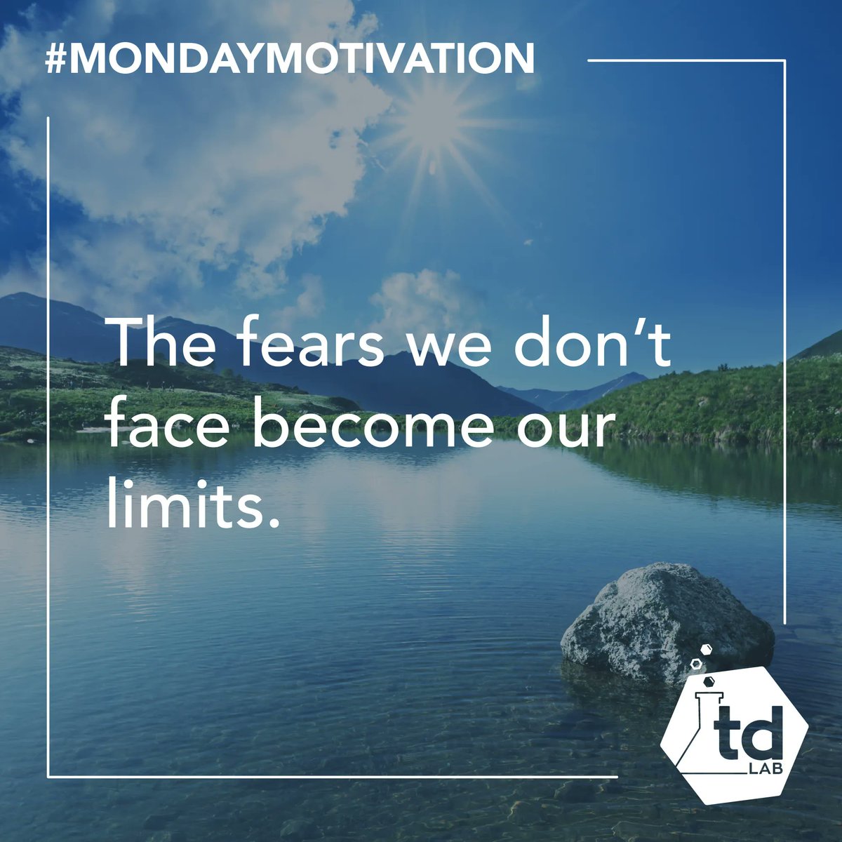 tandemdesignlab's tweet photo. Happy Monday! https://t.co/1d32fLDhip