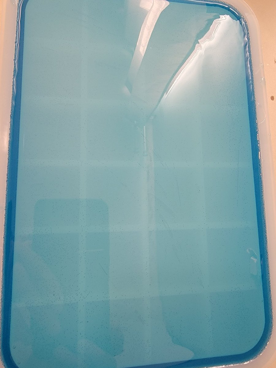 nftytrays's tweet photo. Just poured another tray for another customer! Gonna embed the image tomorrow! https://t.co/smSUxLCClv