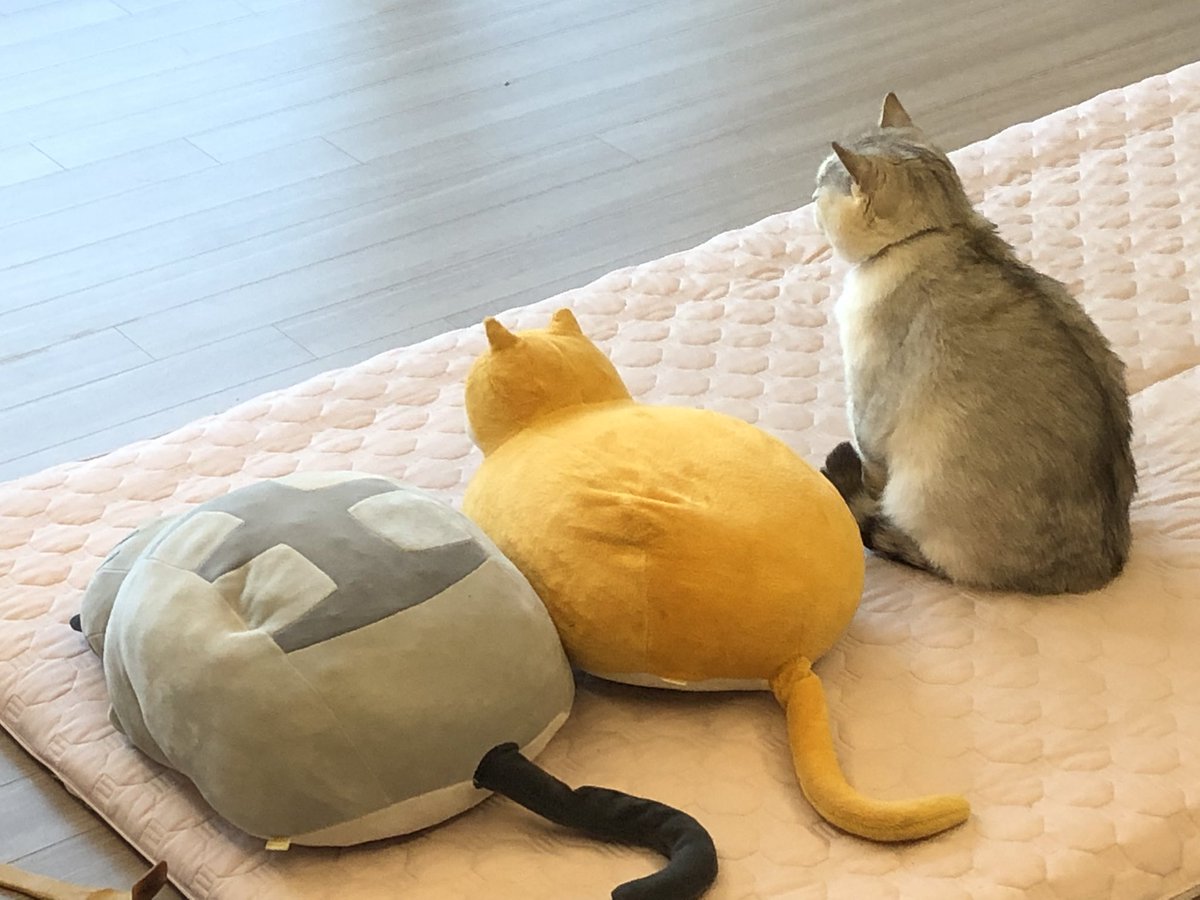 따악 그 옆에서 머하는겨