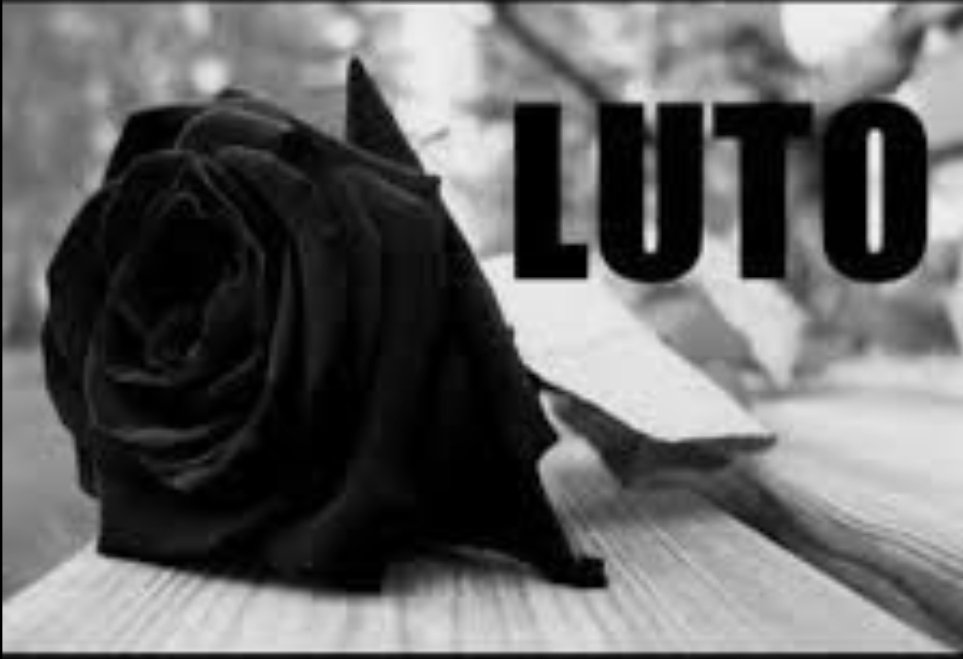 "ele é só um parceiro como qualquer outro"