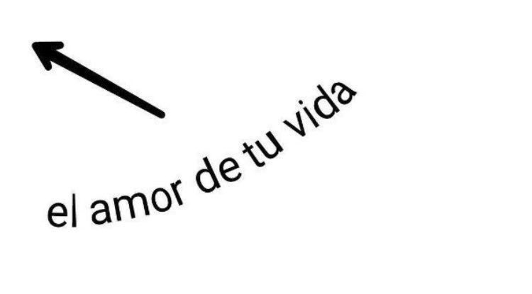 paracetamor's tweet image. 