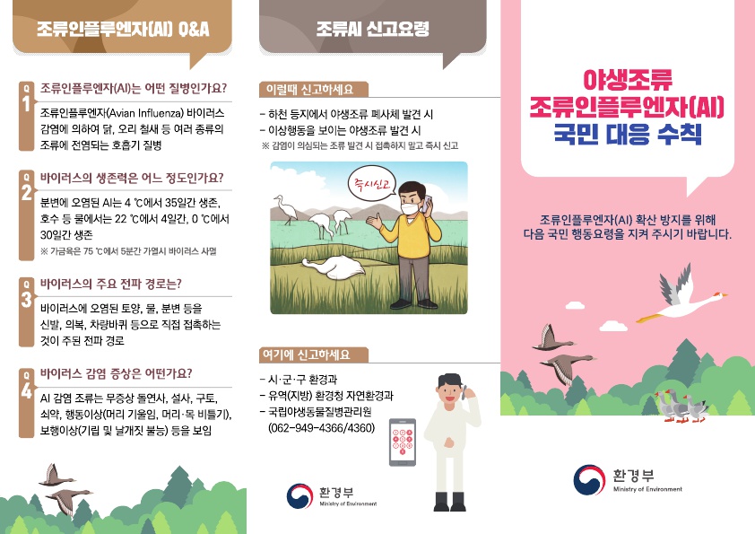 야생조류 조류인플루엔자(AI) 국민대응수칙🐦

<기본원칙> 
출입통제 지역 출입 금지, AI발생지역에서 낚시 금지

<불가피하게 방문시>
여벌의 옷 준비, 이동시 분변, 깃털 밟지않게 주의!

<발생지역 다녀온 후>
소독 등 개인위생 철저, 가금 농가 방문 금지, 관련 종사자 접촉 금지!