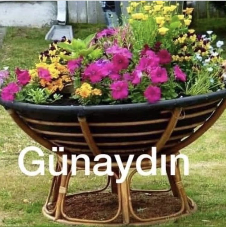 многоярусная клумба с лавандой. необычные клумбы. агератум бархатцы цинии. оформление цветов на даче. оформление цветов на даче.