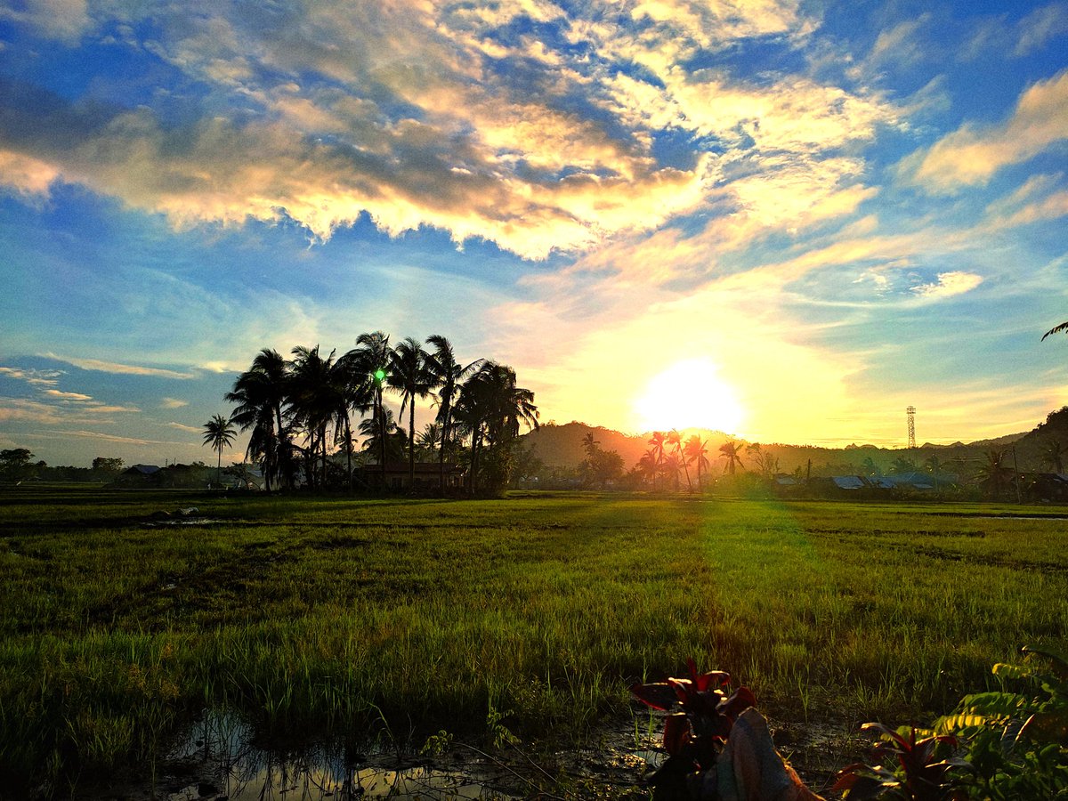 ian_bausing's tweet image. 🥺