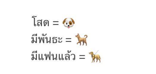 อัพเดทสถานะแก๊งหมาครับ 
#9XDOGBREEDS
