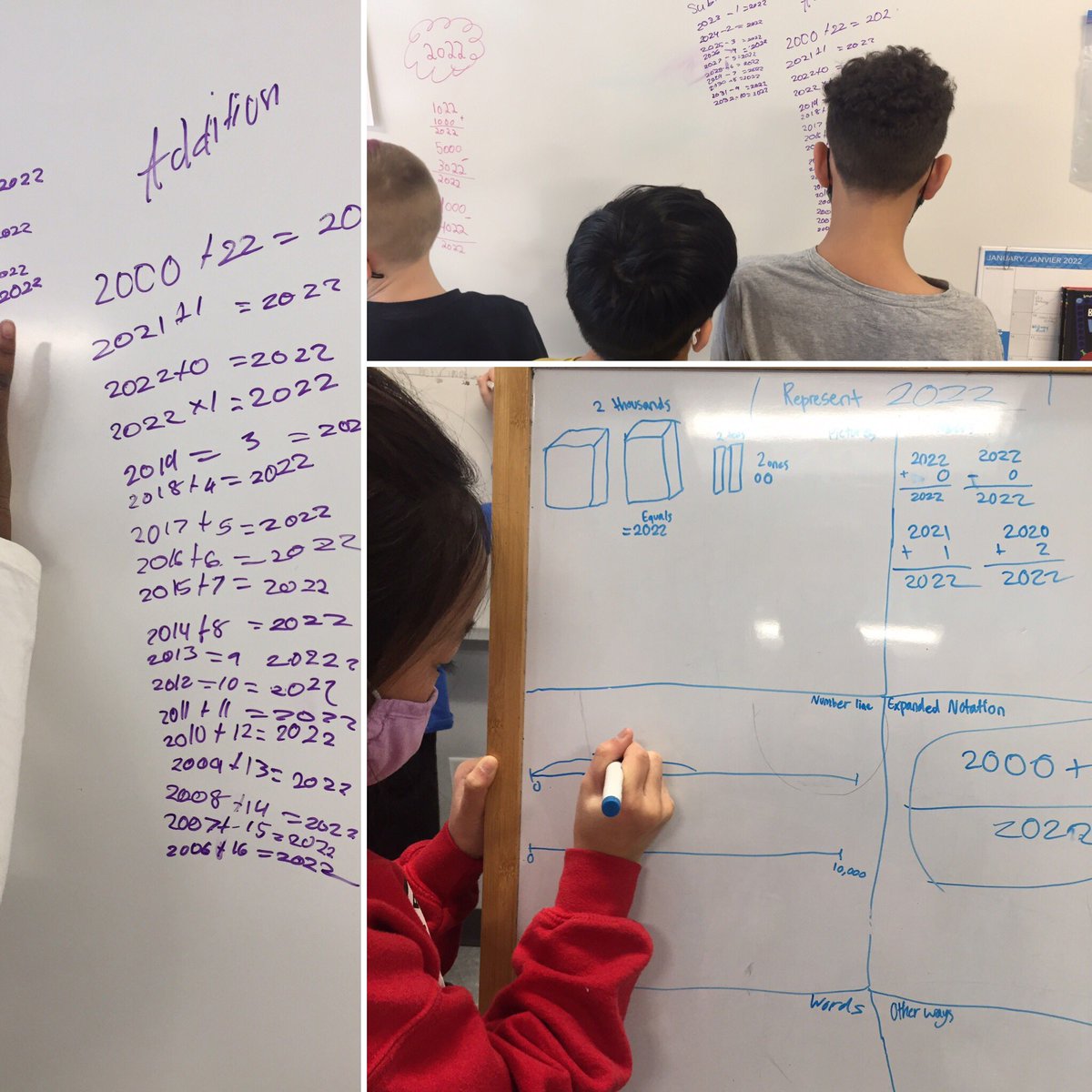 Diane Allan tweet media