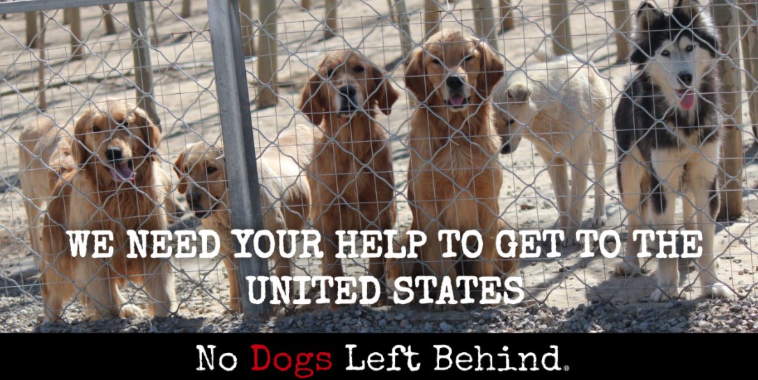 Saveapooch's tweet image. No Dogs Left Behind' Founder Jeffery Beri and Vice President &amp;amp; CEO of USA Operations Jackie Finnegan on the suspension of the importation of dogs into the United States from 113 countries. 
petliferadio.com/saveapoochep47…