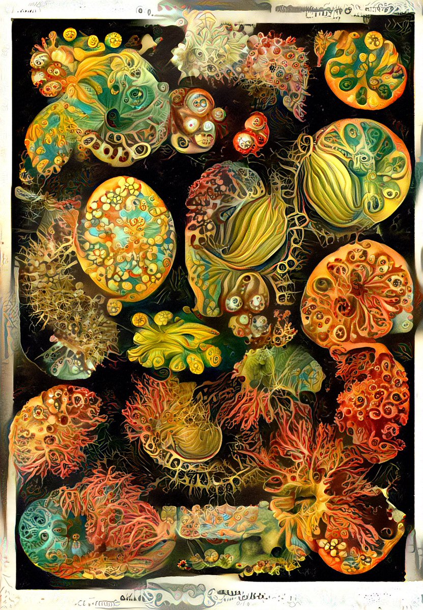 MagIntArt's tweet photo. An organism from from another reality. Artificial Zoomorphic Illustrations.
#aiartcommunity #AIArtwork #biology #digitalarts https://t.co/szyTBuF6tx