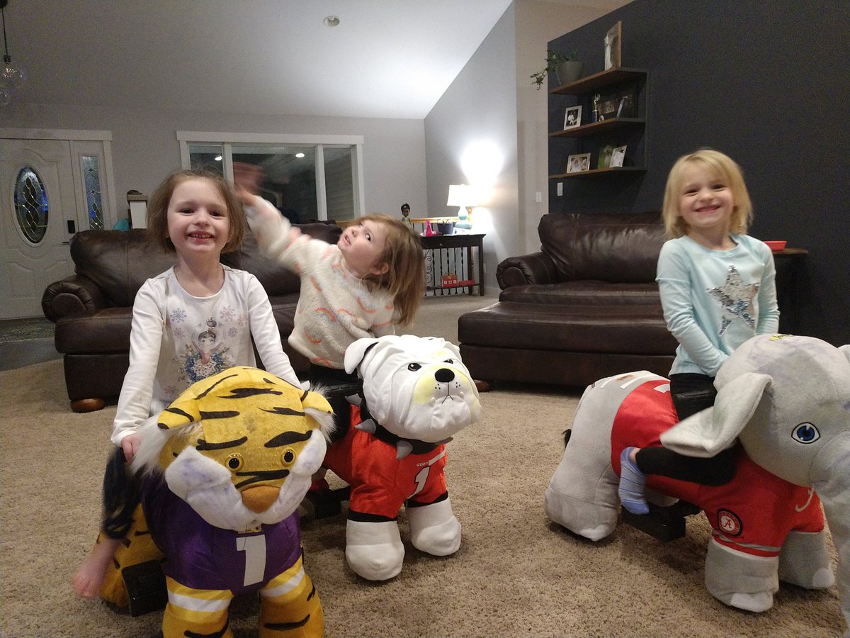 Toby Palmiscno tweet media