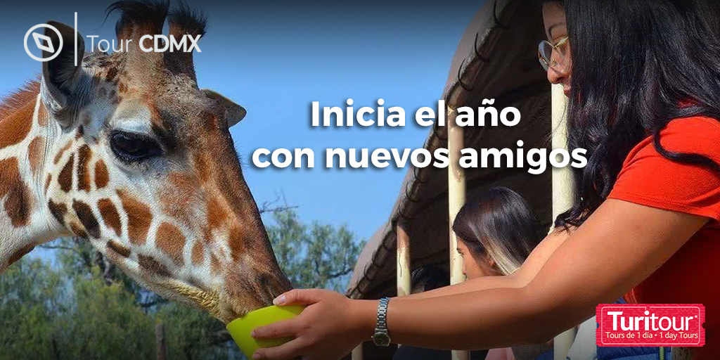 Arranca el año poniéndote en contacto con la naturaleza y cumple tu propósito en <a href="/viveREINOANIMAL/">REINO ANIMAL</a>
#LoQueNoSabíasQueExistía